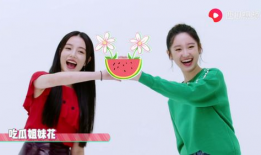 呆妹吃瓜爆料视频大全集,揭秘娱乐圈那些不为人知的秘密