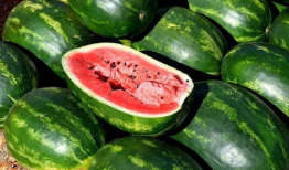 吃瓜素材爆料网站大全,一网打尽热门八卦！